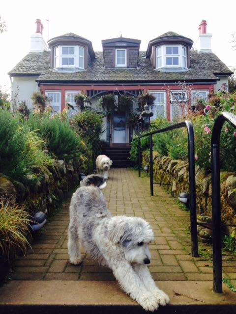 The Moorings Bed and Breakfast Tarbert  Exteriör bild